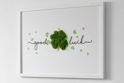 Obraz z mchem - "Good Luck" koniczyna 60x40 cm Biała Rama