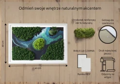 Obraz z mchem - Wyspa na rozlewisku 60x40 cm Biała Rama