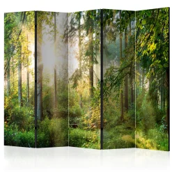 Parawan Jednostronny Nieujarzmiona Przyroda 225x172cm