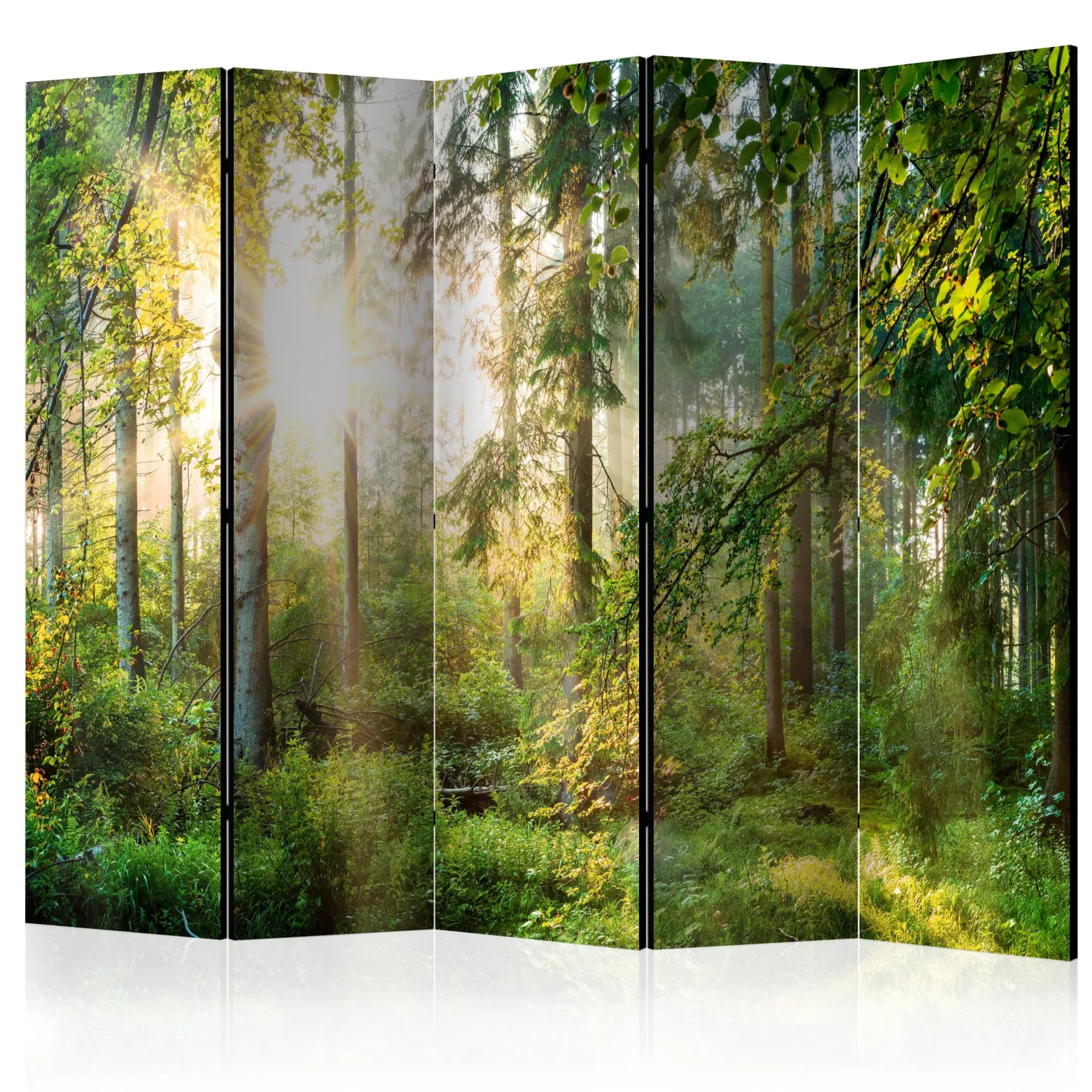 Parawan Jednostronny Nieujarzmiona Przyroda 225x172cm