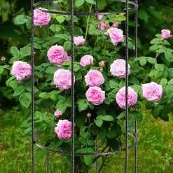 Pergola Podpora Ogrodowa Do Kwiatów Roślin 100cm