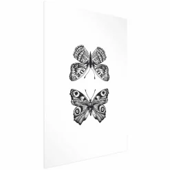 Plakat Dwa motyle 21x30 cm