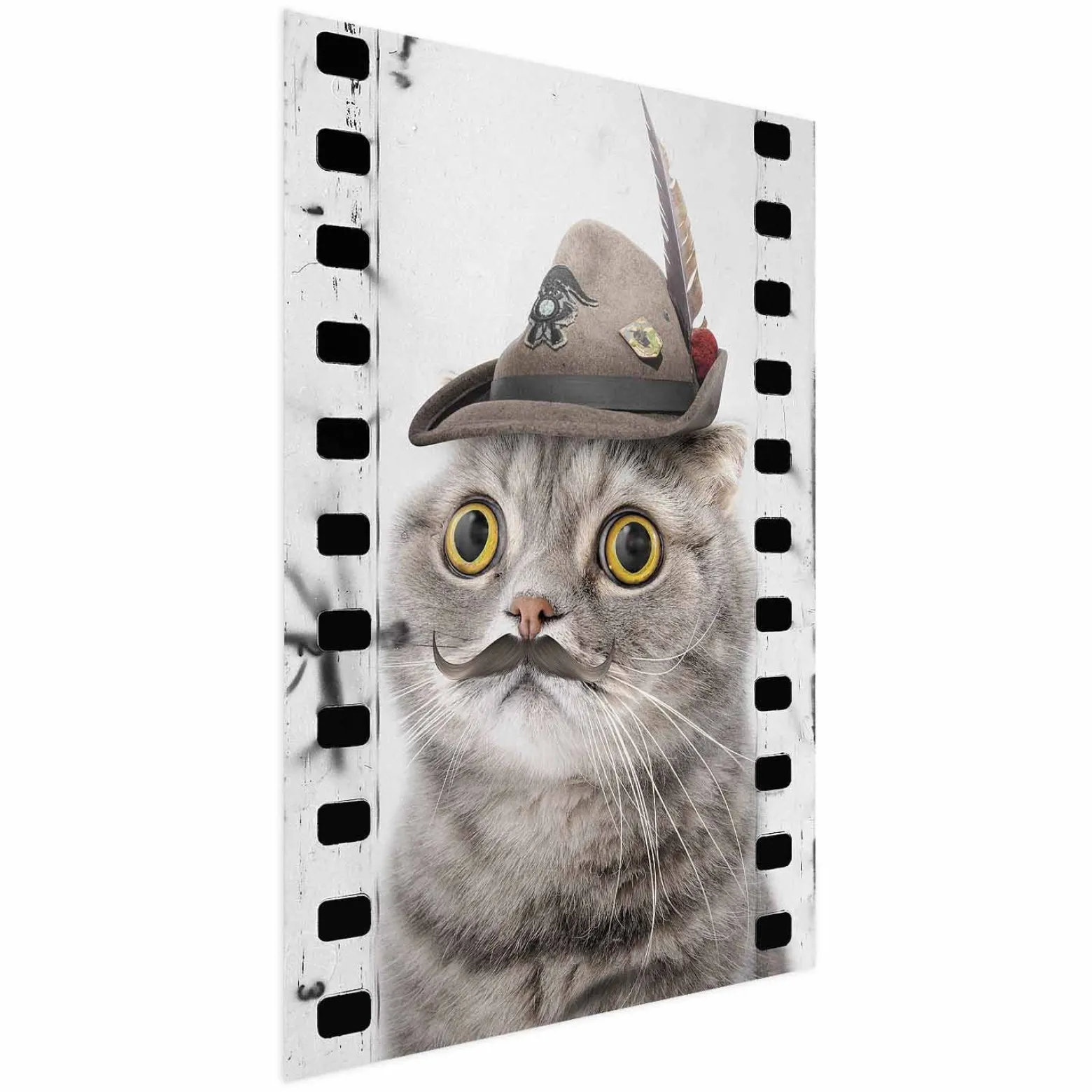 Plakat Kot w kapeluszu 21x30 cm
