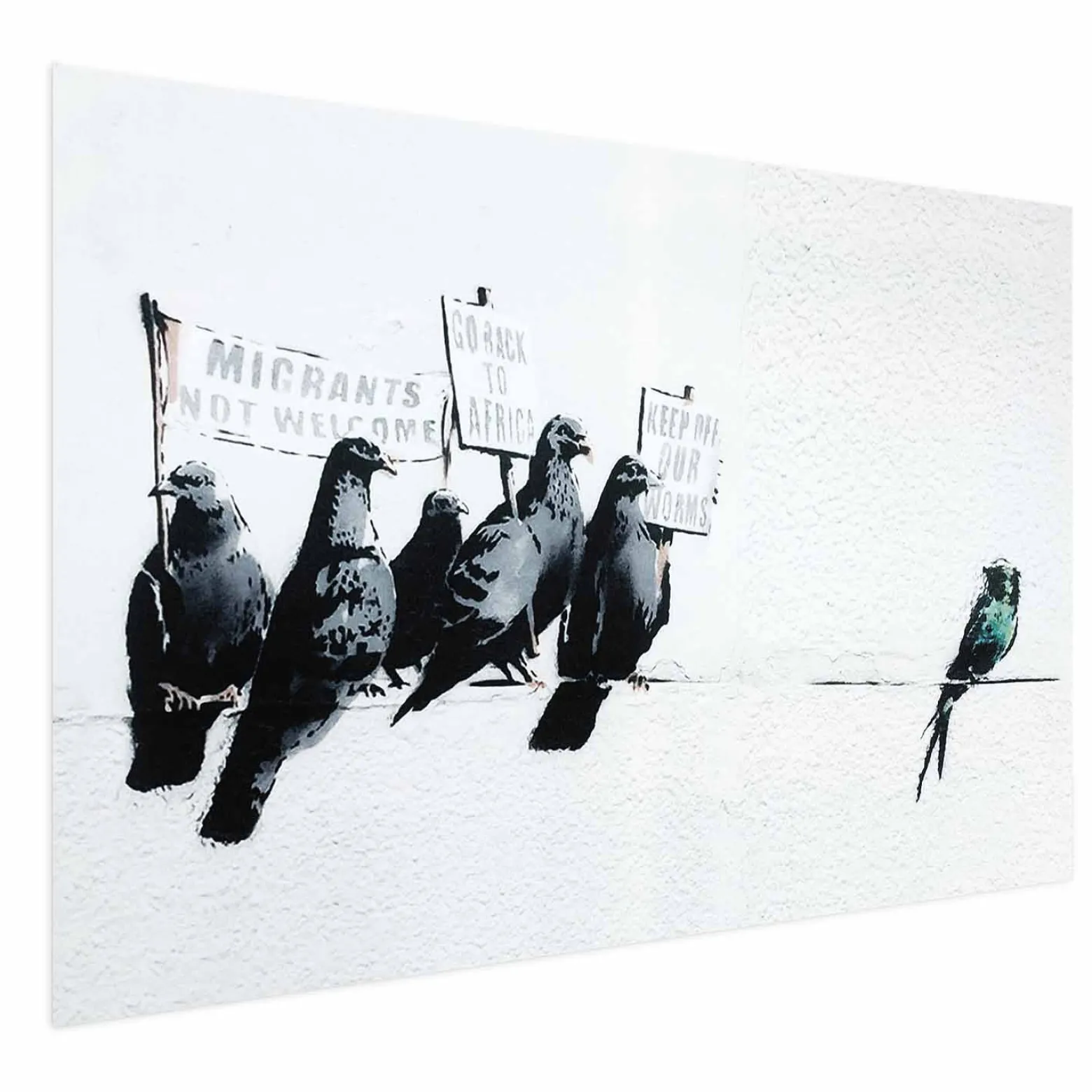 Plakat Ksenofobiczne gołębie 30x21 cm