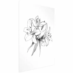 Plakat Rysowane kwiaty 21x30 cm