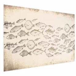 Plakat Subtelne rybki 60x40 cm