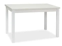 Stół kuchenny ADAM 120x68 biały mat