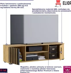 Stojąca szafka RTV z drzwiczkami i lamelami w stylu loft - Manix