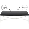 Stolik kawowy Rays Silver Black