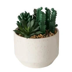 Sztuczna roślinka SUCCULENT, 12 cm