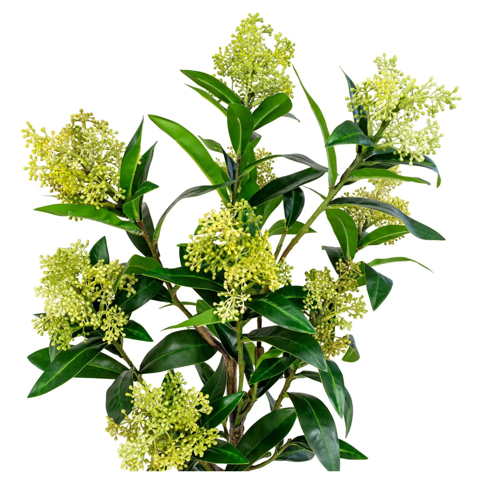 Sztuczne DRZEWO Skimmia o wysokości 75 cm z tworzywa