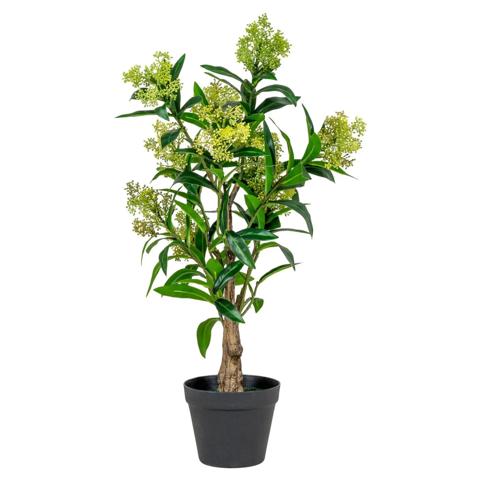 Sztuczne DRZEWO Skimmia o wysokości 75 cm z tworzywa