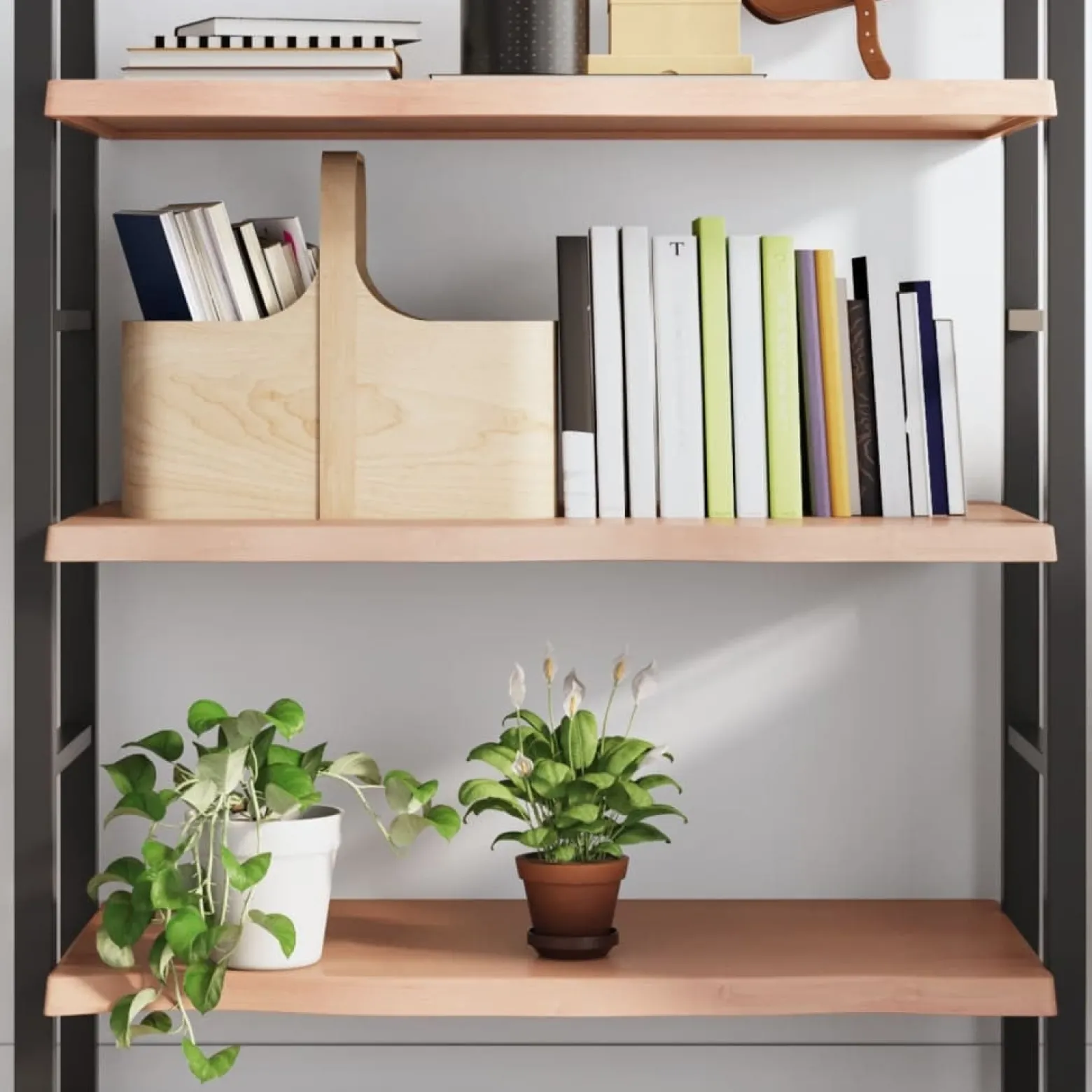 VidaXL Półka brązowa 100x60x(2-4) cm