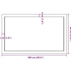 VidaXL Półka brązowa 100x60x(2-4) cm