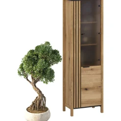 Witryna Szklana do Salonu VERVE 62 cm Dąb Evok Klasyczna