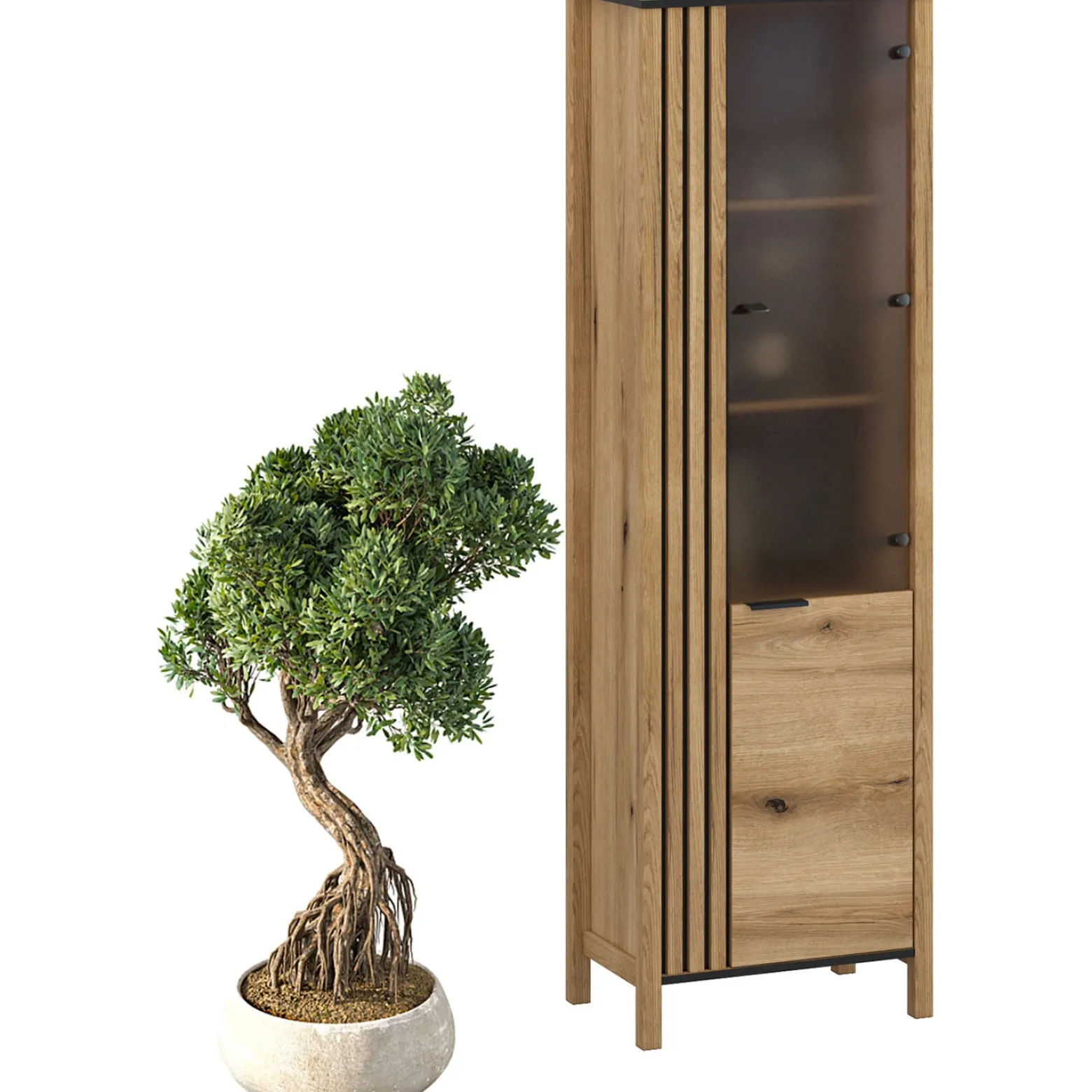 Witryna Szklana do Salonu VERVE 62 cm Dąb Evok Klasyczna
