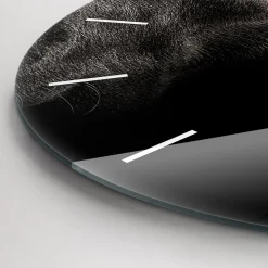 Zegar szklany ścienny do salonu Pies i kot szkocki fi30