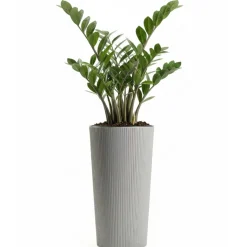Zestaw donic URBANIKA ECO wood szare 3 szt