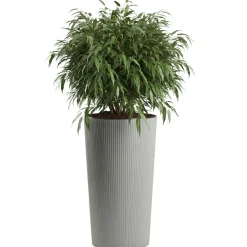 Zestaw donic URBANIKA ECO wood szare 3 szt