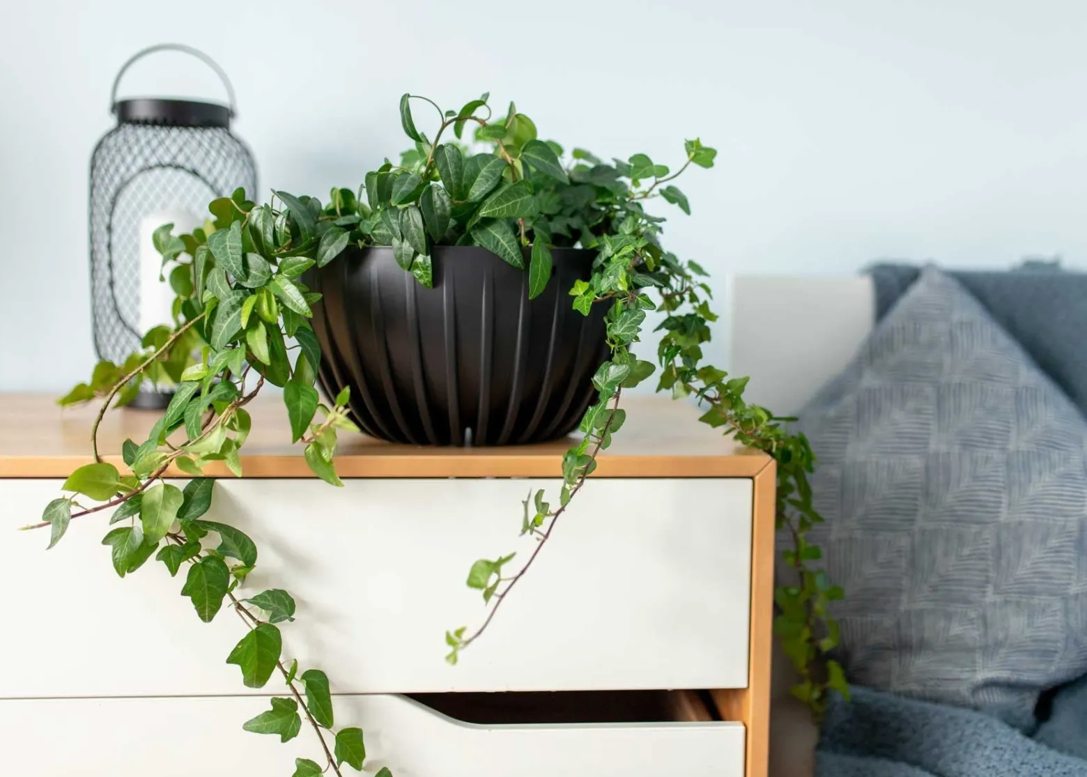 Zestaw doniczek Stripped Eco recykling czarne