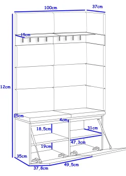 Zestaw Do Przedpokoju 2P12W Dąb Craft Złoty/Białt Mat/Czarny 100X37X212 Cm
