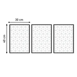 ZESTAW 3X Plakat Kwiaty W Stylu Line-art 30x40cm